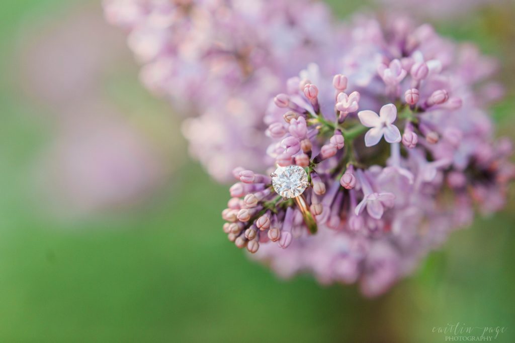 Solitaire diamond engagement ring on lilac bush