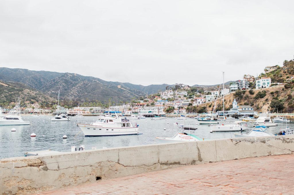 Catalina Island harbor full of boats