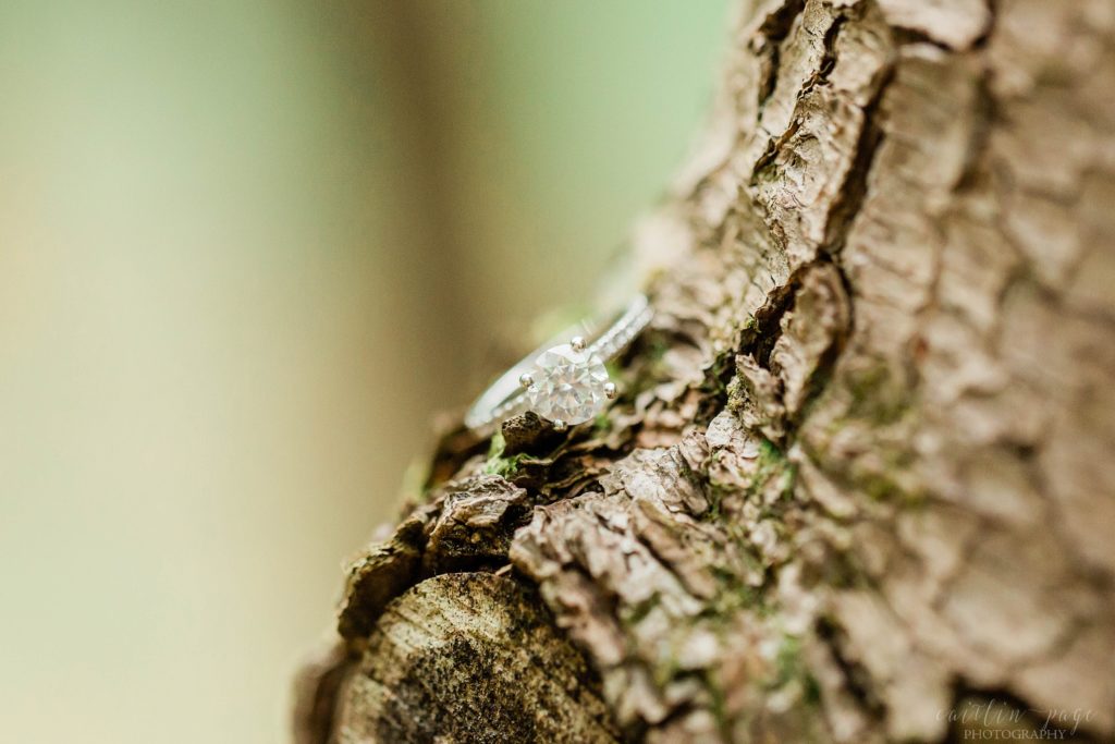 Solitaire engagement ring on tree