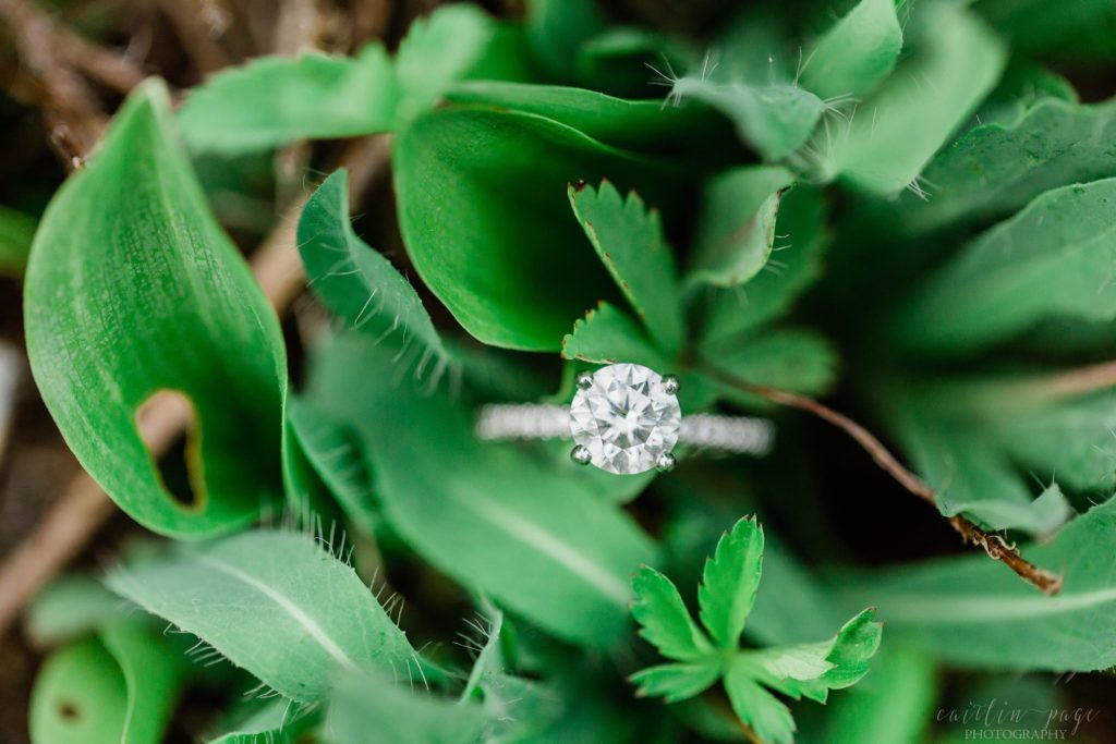 Solitaire engagement ring placed in weeds