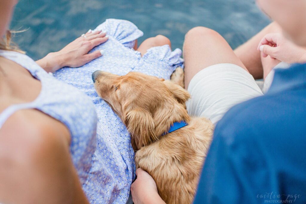 Puppy snuggled between man and woman on dock