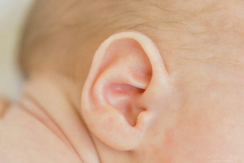 Newborn baby ear details