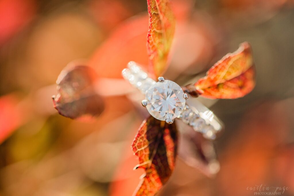 Solitaire engagement ring on red leaves