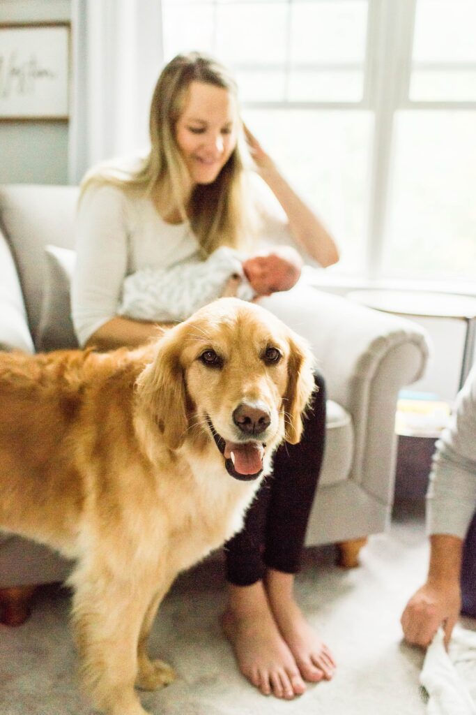 Dog standing in front of mom holding baby