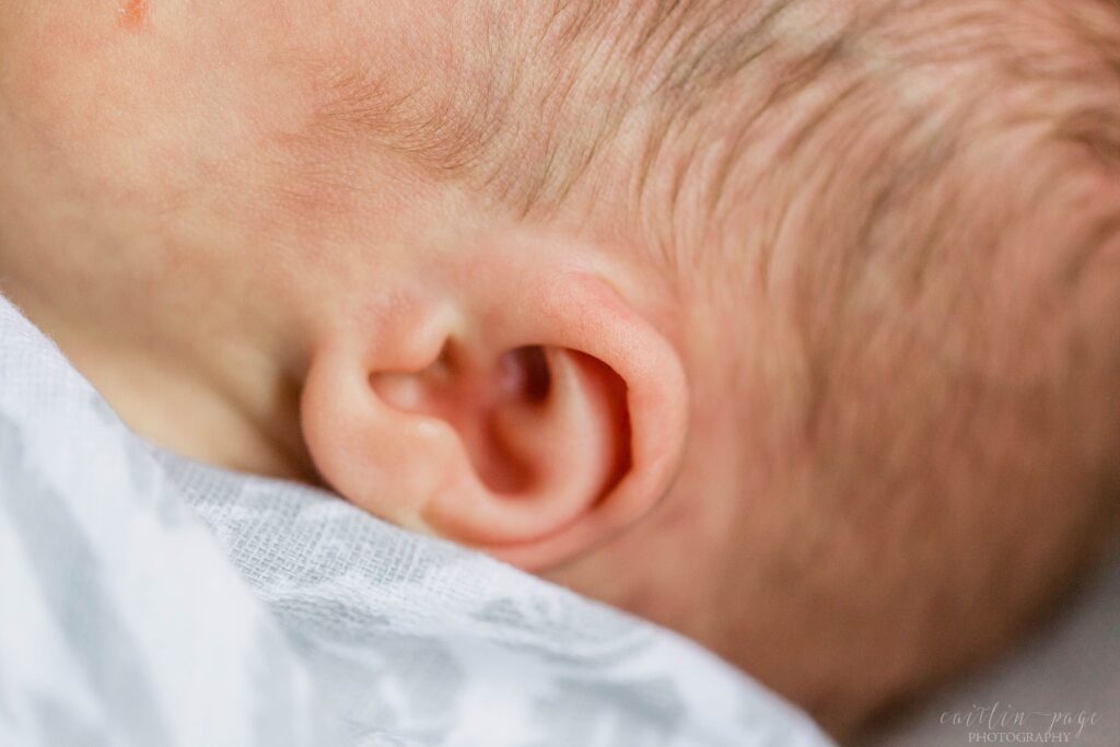 Newborn baby ear