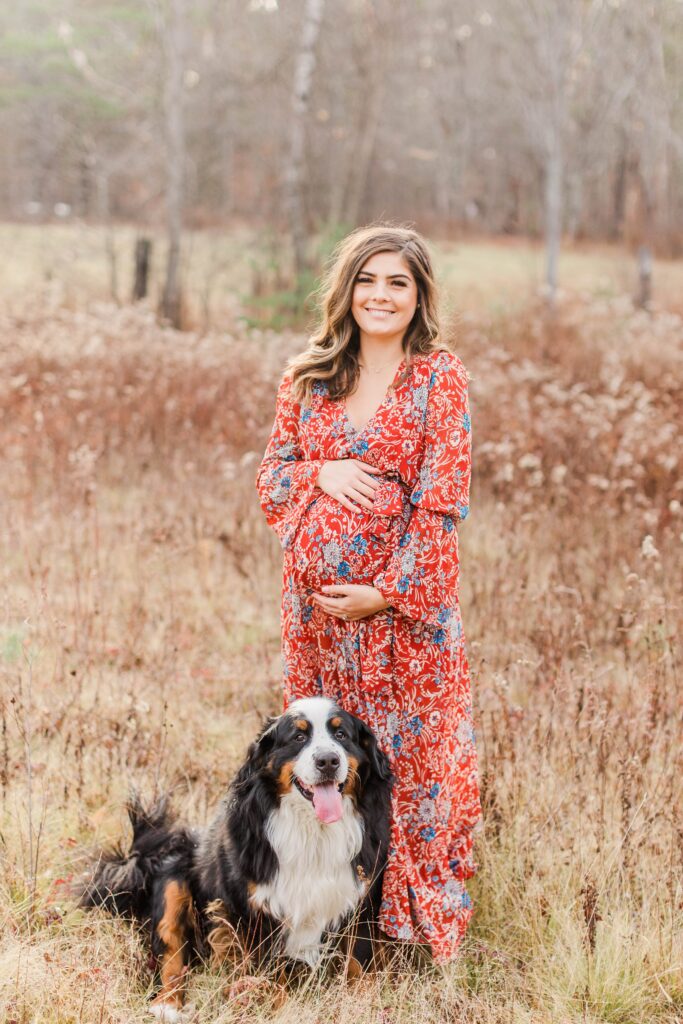 Pregnant woman standing in a field with bernese mountain dog