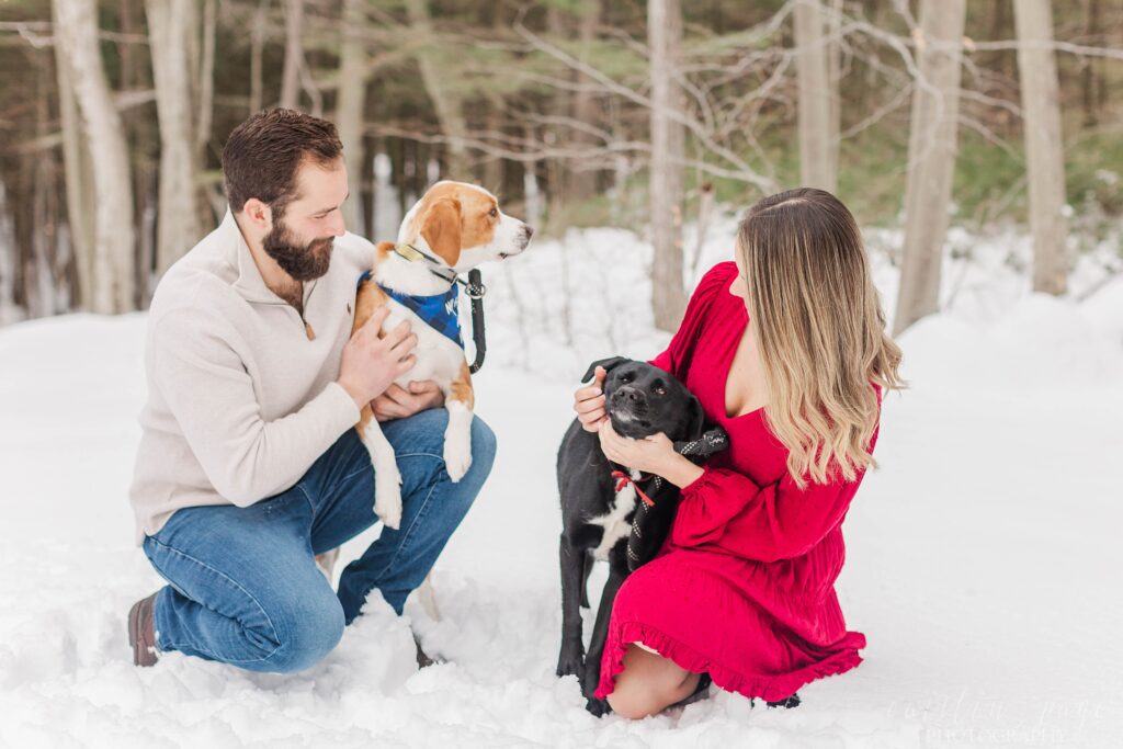 Couple sitting in the snow with dogs
