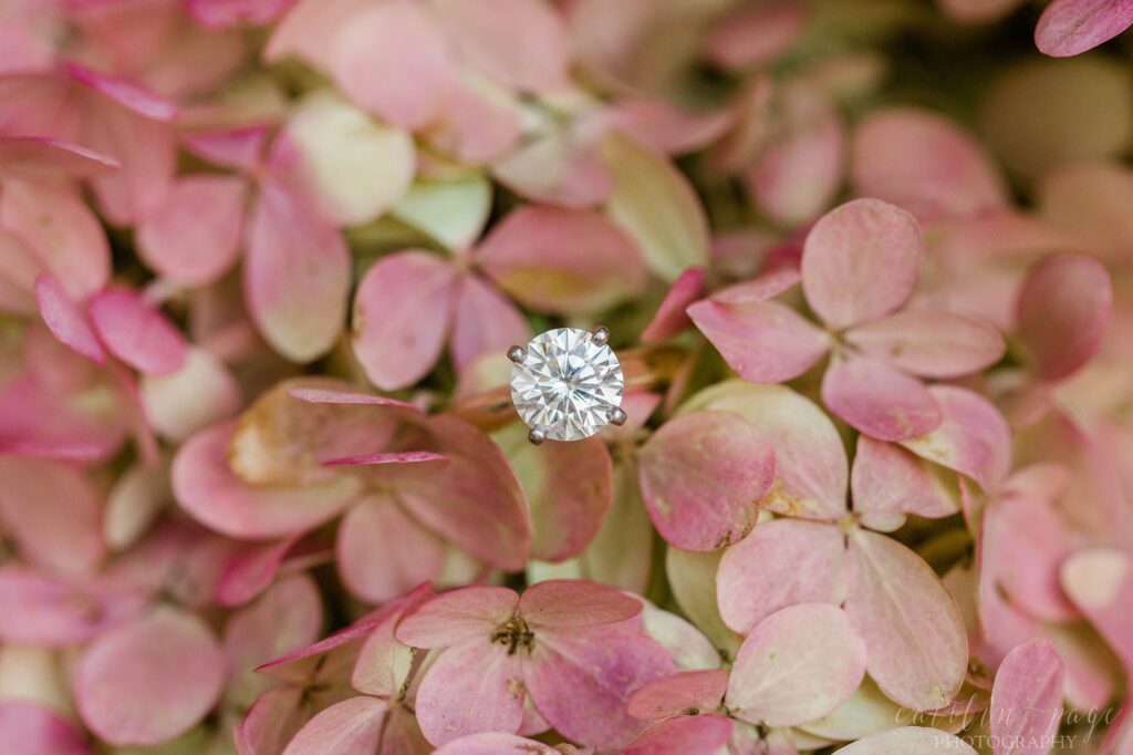 Solitaire engagement ring in pink hydrangea bush
