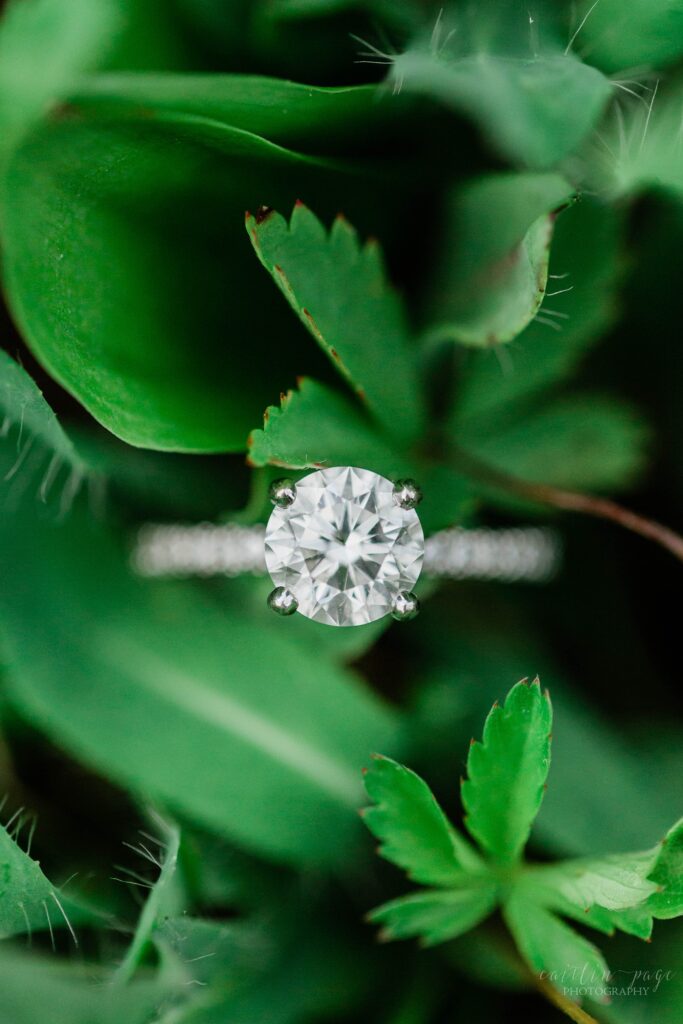 Solitaire engagement ring in leaves