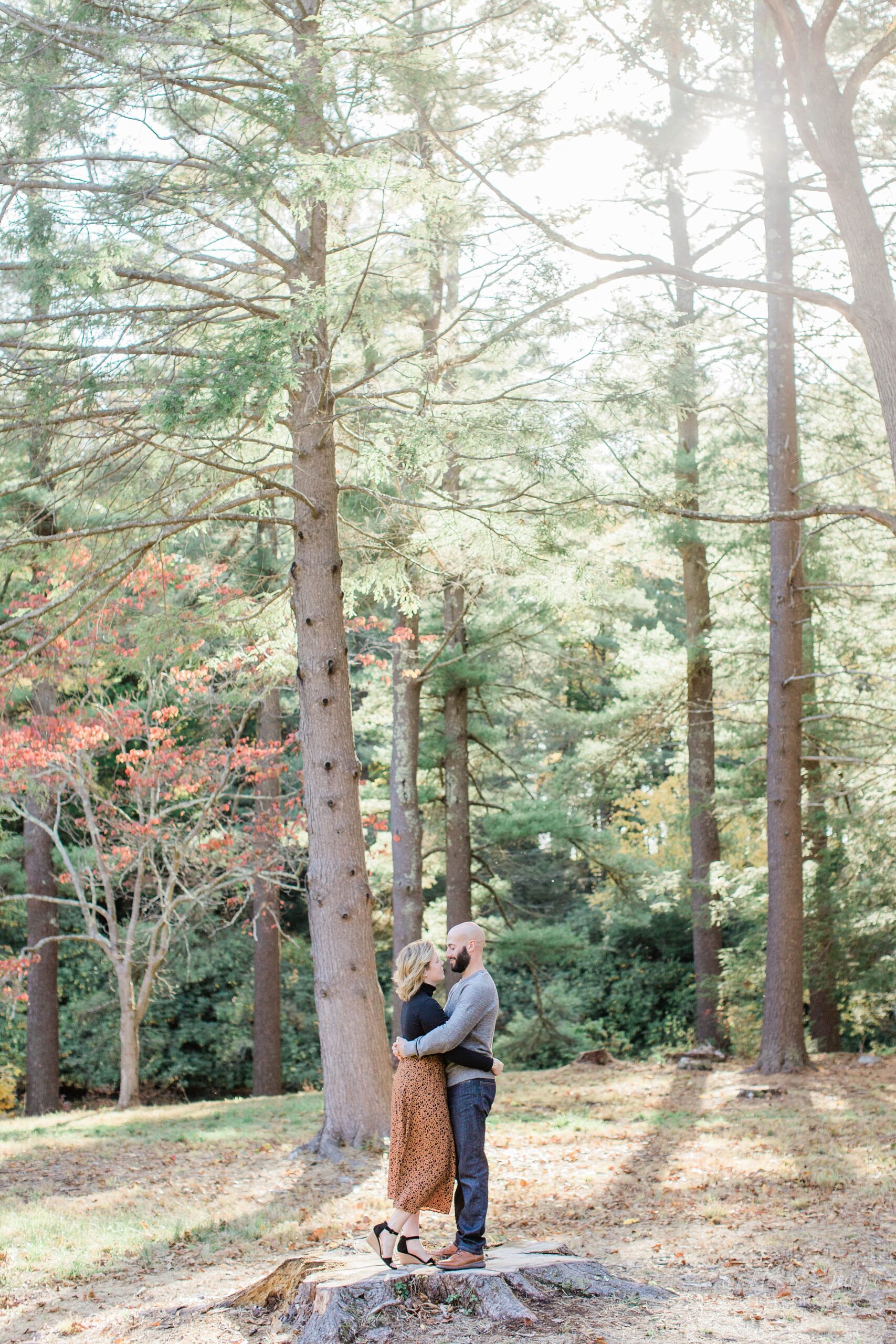 Couple standing on stump in middle of the woods