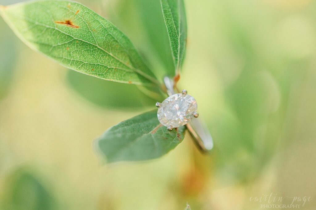 Oval solitaire engagement ring on leaf