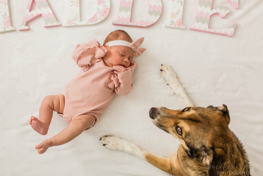Dog laying on blanket with newborn baby