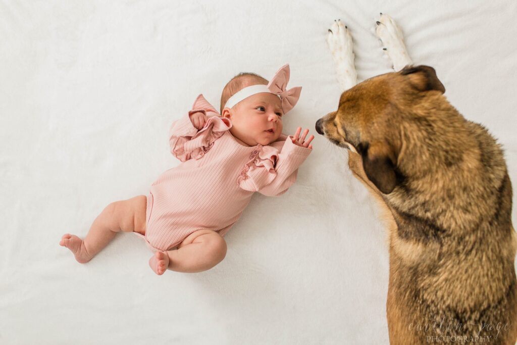Dog laying on blanket with newborn baby