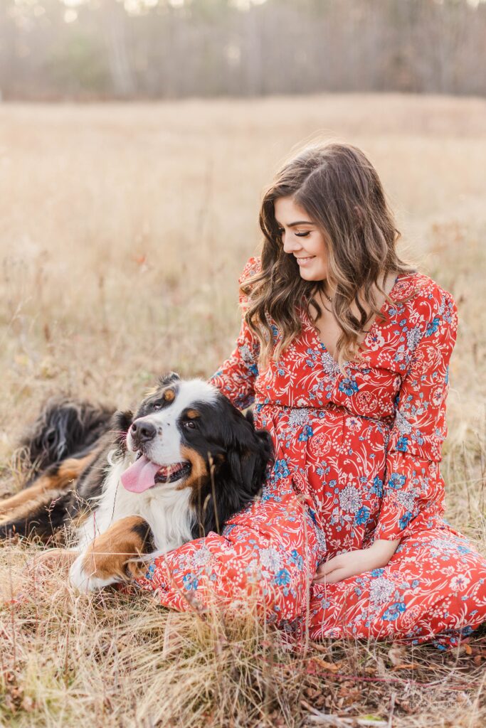 Pregnant woman sitting in field with Bernese mountain dog