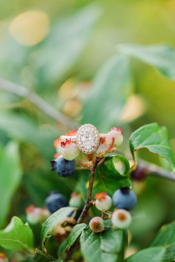 Oval solitaire engagement ring on blueberry bush