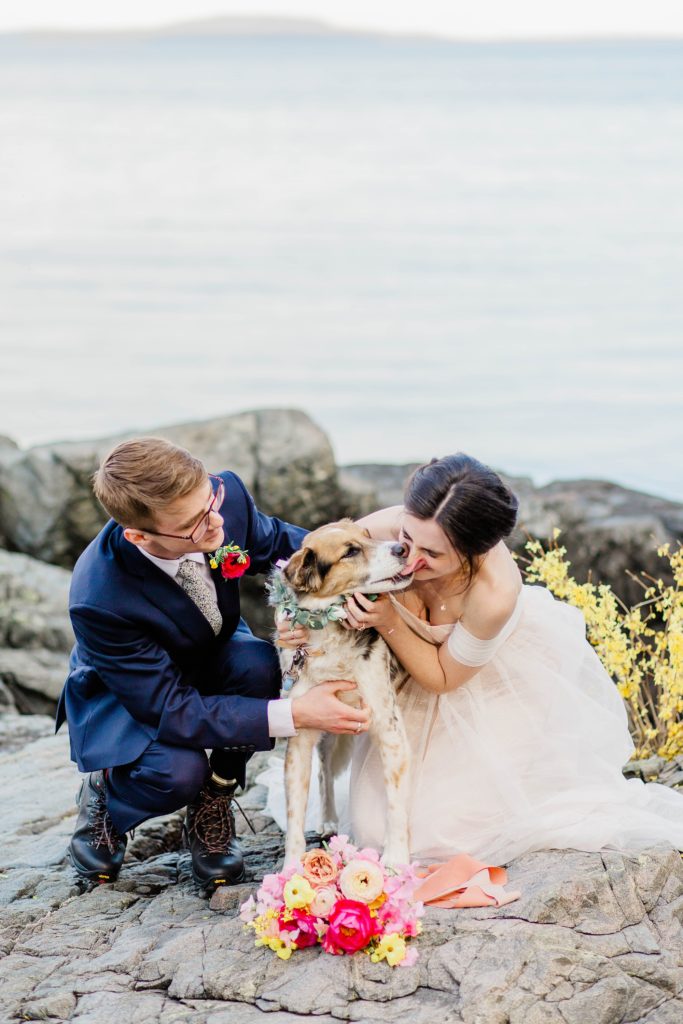 Elegant Boho Oceanside Wedding in Acadia National Park