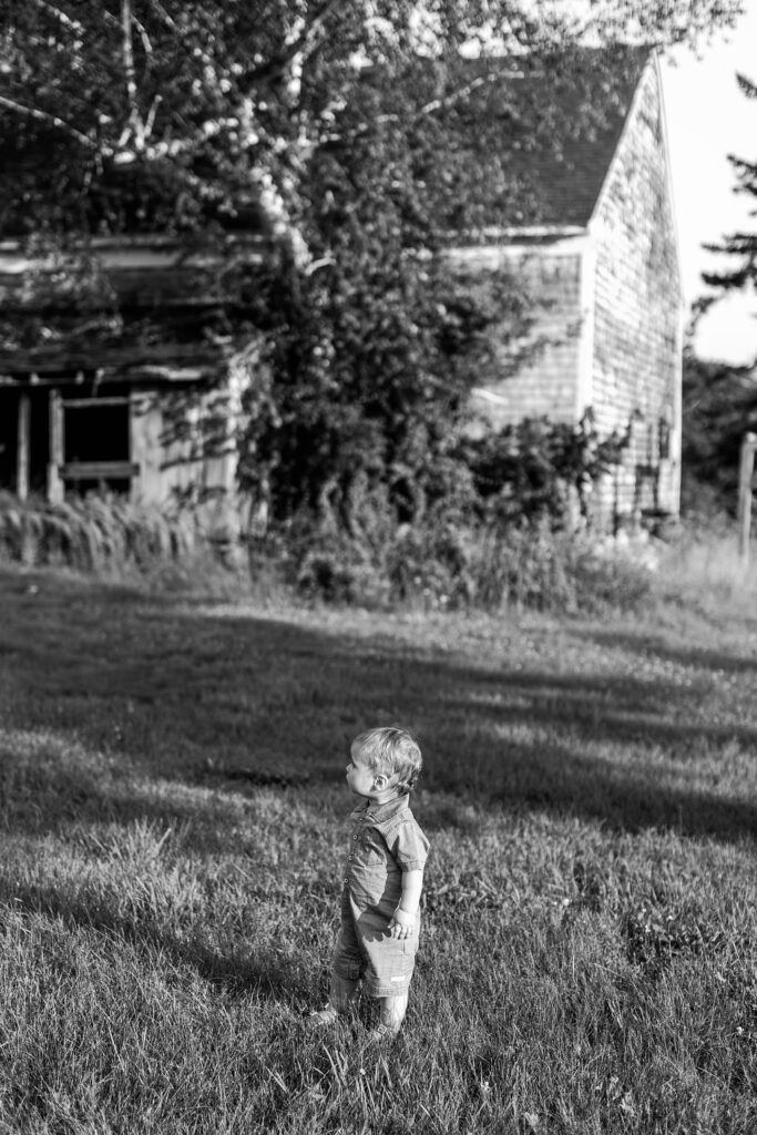 Summertime Backyard Family Photos Wolfeboro New Hampshire Caitlin Page Photography