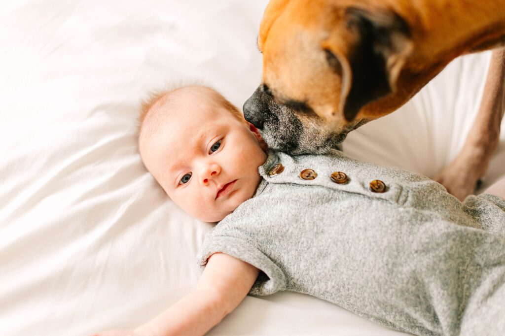 At Home Newborn Lifestyle Session Huntington Beach California Caitlin Page Photography New Hampshire Photographer