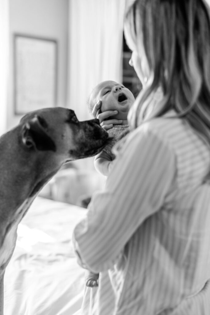 At Home Newborn Lifestyle Session Huntington Beach California Caitlin Page Photography New Hampshire Photographer