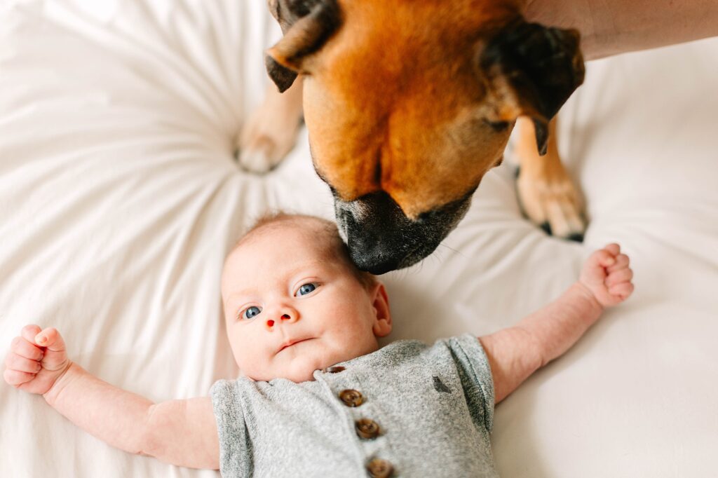 At Home Newborn Lifestyle Session Huntington Beach California Caitlin Page Photography New Hampshire Photographer